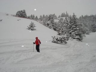 una nevicata abbondante
