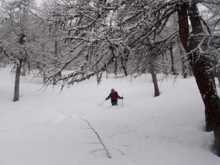 Monica si diverte assai