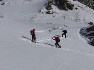 Le teste grigie in azione