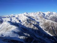 Grifone e Colombardo