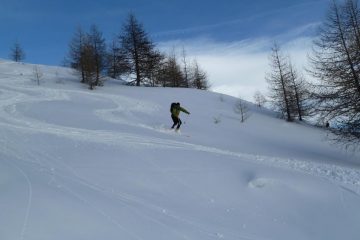 inizio bosco