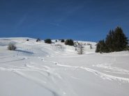 la parte alta