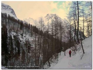 Nel bosco verso Alpe Devero