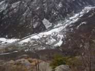 rosone dalla testa d'aj