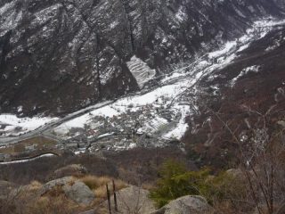 rosone dalla testa d'aj