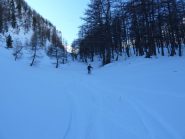 Nel bosco bella farina