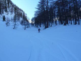 Nel bosco bella farina