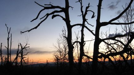 Prime luci dell'alba....