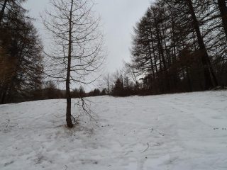 la parte bassa