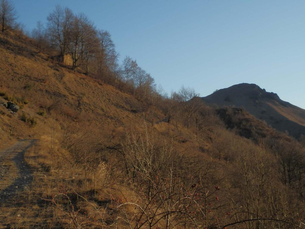 il Tagliarè visto salendo lungo la forestale che porta al Gias