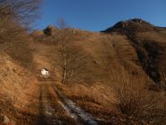 in arrivo alla casa del margaro salendo dalla forestale; da sx  a dx le Rocche Calere, la Rocciaia e il Colle della Gorgia seminascosto