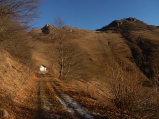 in arrivo alla casa del margaro salendo dalla forestale; da sx  a dx le Rocche Calere, la Rocciaia e il Colle della Gorgia seminascosto