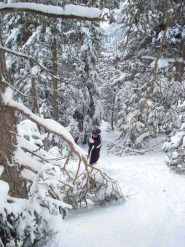 Roberto semisommerso dalla neve