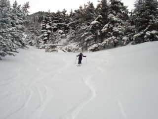 Evelin in azione