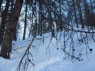 ma quanta neve da battere