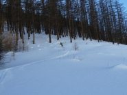 Divertene discesa nel Bois du Bousqueton