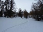 Nel bosco neve farinosa