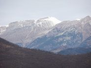 Mongioie
