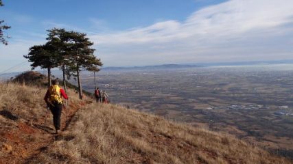 verso il monte Baron
