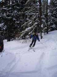 in discesa nel bosco già un pò arato..