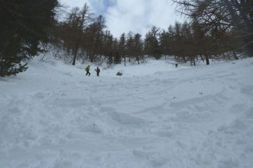 scendendo dal ripido bosco 
