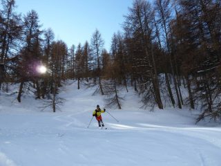 Magico bosco !!!