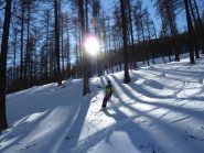 Farina nel bosco !!!