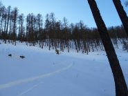 farina fino in fondo !!!