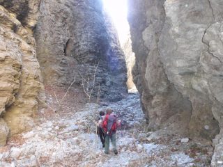nelle Gorge