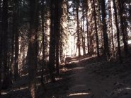 in vista del colletto della Lausa