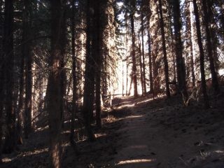 in vista del colletto della Lausa
