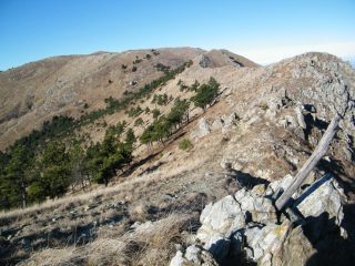 Il Monte delle Figne dal Passo Mezzano
