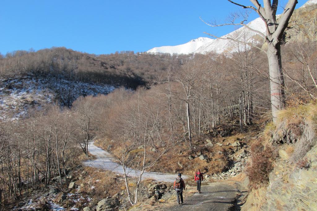 lungo la strada nel bosco