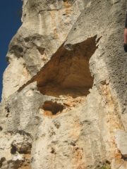 Particolare su roccia