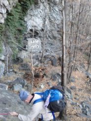 la placca con cordafissa