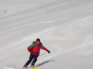 Carlin sulle placche