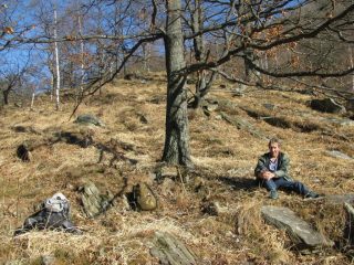 Siesta al sole sotto la quercia