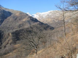 Sguardo sull'alto Vallone del Savenca