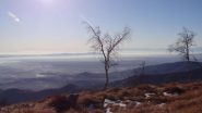 verso la pianura