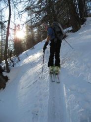un bosco di farina