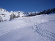 farina  prima e dopo il bosco...