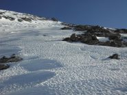 A fianco del sentiero estivo.