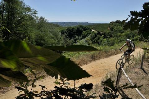 Sentiero del Castagno, Via Lunga