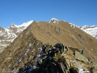 quota 2137m