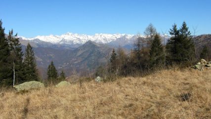 Granpa dal colle Portia