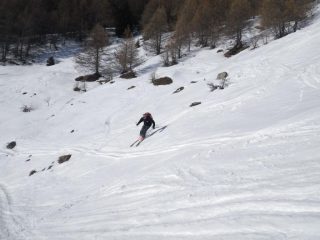 Piero all'uscita del bosco