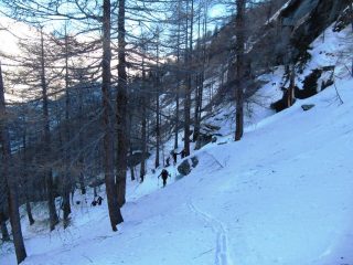 Dagli impianti si attreversa il bosco evitando la ...boschina...