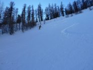 Nella parte alta del bosco