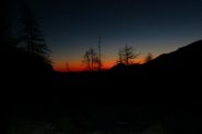 alba