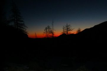 alba